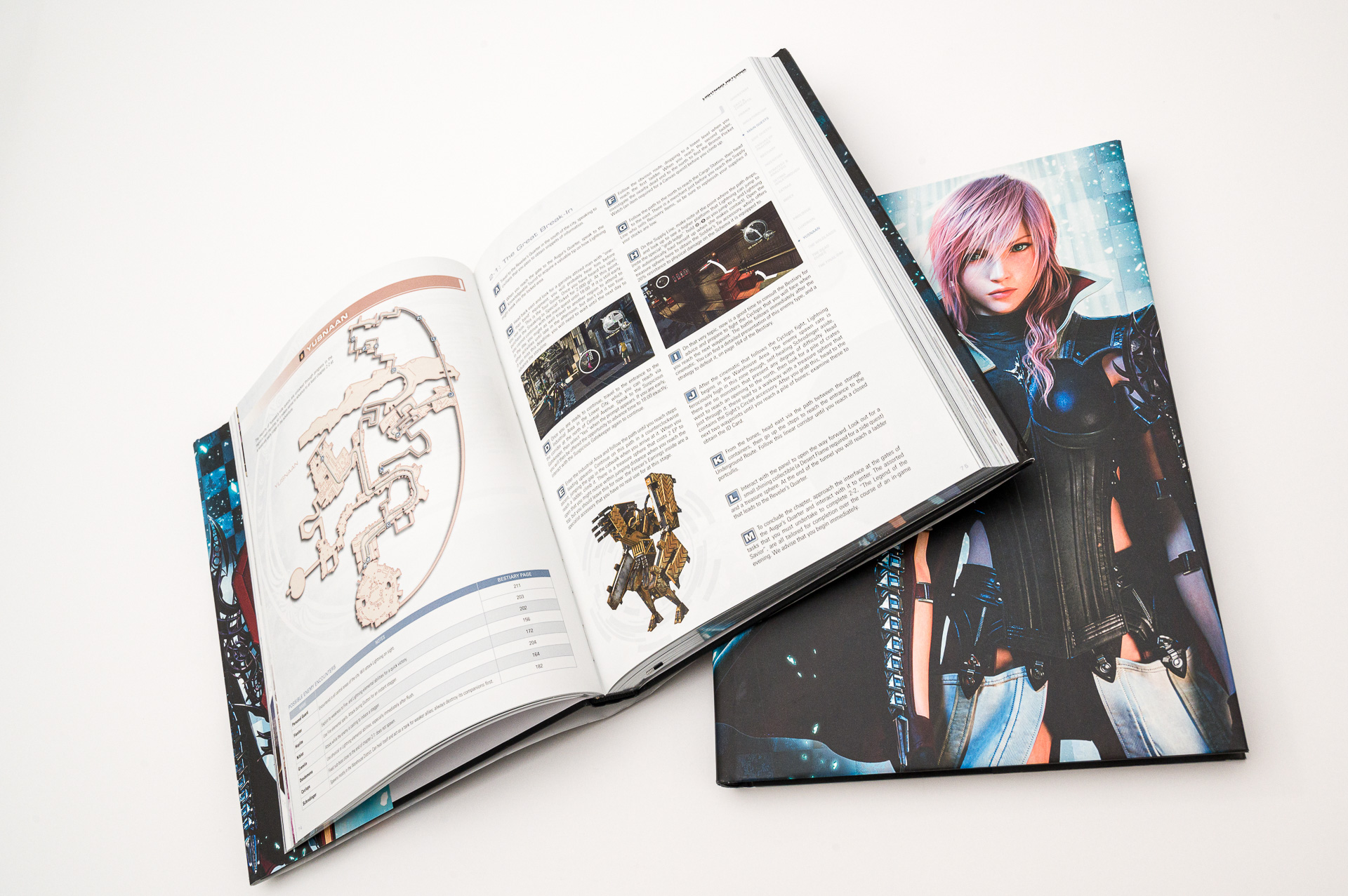 Lightning Returns: Final Fantasy XIII - The Complete Official Guide -  